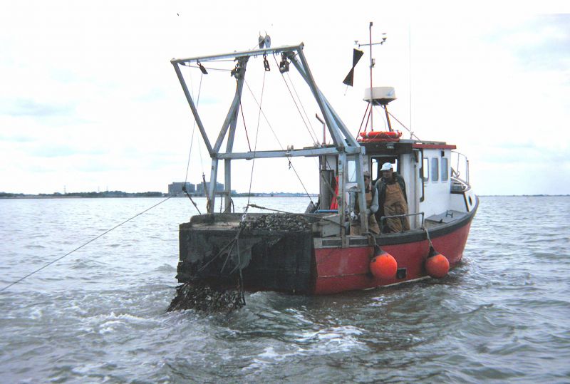  A modern oyster dredger. 
Cat1 Museum-->DisplayPhotos Cat2 Oysters-->Pictures