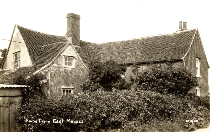  Home Farm, East Mersea. The farmhouse was demolished in the 1950s, roof tiles from the house were re-used on the present bungalow. Postcard 101902. 
Cat1 Museum-->DisplayPhotos Cat2 Mersea-->East Cat3 Mersea-->Buildings-->Lost