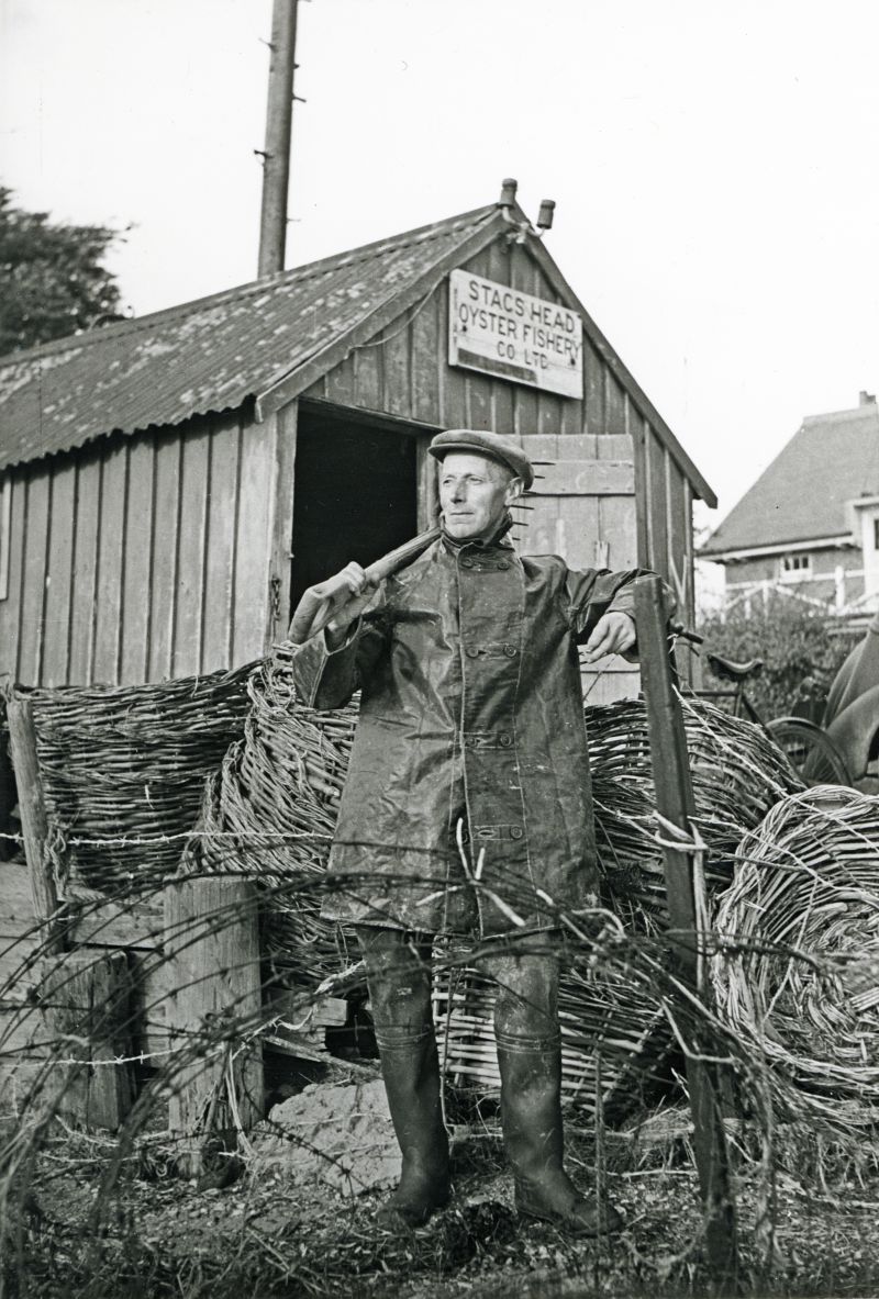  The oysterman George Stoker of West Mersea before the 'offoce' of the Stags Head Oyster Fishery Company. A wartime picture - there is barbed wire in the foreground.

Used in Smacks and Bawleys Page 115.

See also  ...
Cat1 People-->Fishermen and Seamen Cat2 Oysters-->Pictures Cat3 War-->World War 2 Cat4 Families-->Stoker / Brown