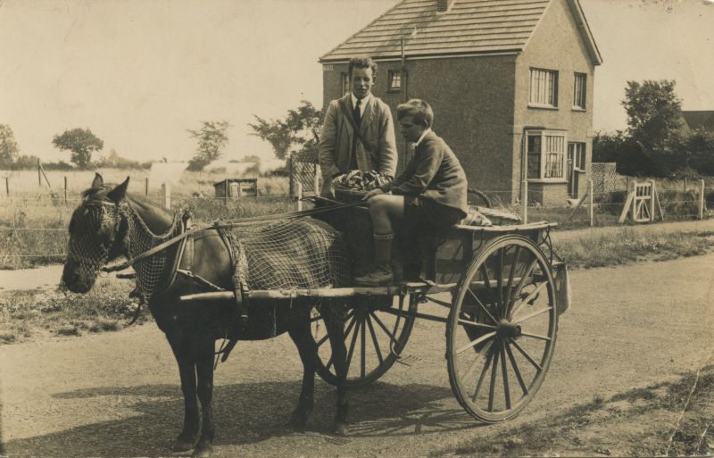 Arthur Mills (left) and Jack Cudmore (cousin of Lorna Tarran) delivering groceries in Seaview Avenue. 
Cat1 Mersea-->Shops & Businesses Cat2 Transport - buses and carriers
