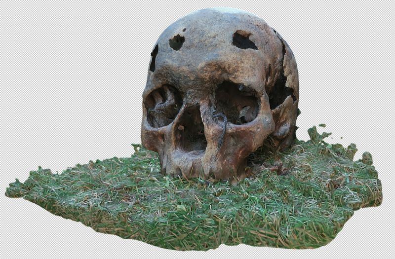  BBC Countryfile Winter Diaries on 15 Feb 2017 featured the Citizan project and recent finds on the mud off Mersea Island. This screenshot shows a skull, found by local oysterman Daniel French when out dredging. It is an Iron Age skull, dated to 290 to 350 BC.



The screenshot is from a 3D model built of the skull - available online at  ...
Cat1 Mersea-->Events Cat2 Mersea-->Creeks, fleets, channels, saltings