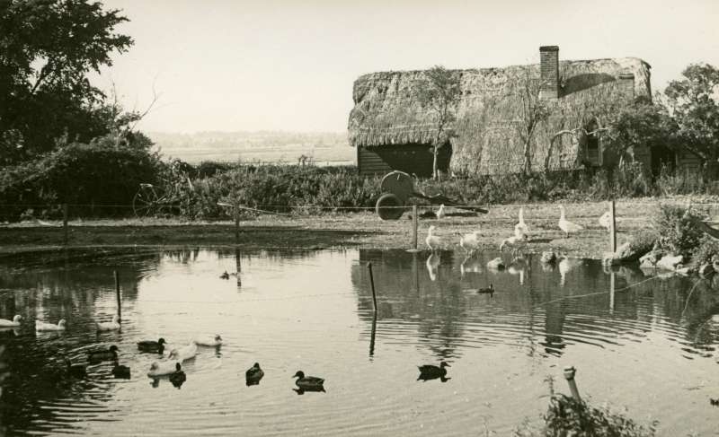  Wellhouse Farm in the Summer of 1944, looking across the pond to Wellhouse Cottage and the Strood beyond. 
Cat1 Farming