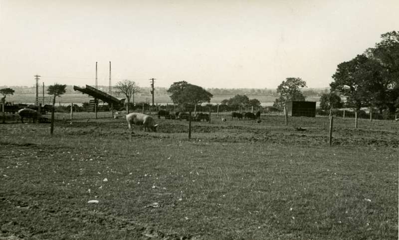  Wellhouse Farm in the Summer of 1944. 
Cat1 Farming