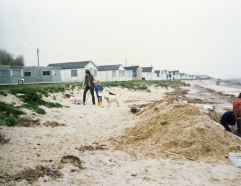 Click to Pause Slide Show


 Coopers Beach mammoth 1986 London Natural History Museum 
Cat1 Mersea-->Beach