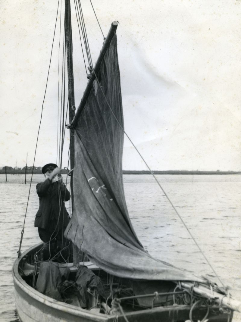  William Wyatt, of West Mersea, sets up the gaff mainsail, preferred to a lug by Mersea men even for their little winkle brigs. [Last Stronghold of Sail page 99].

Shipwright Bill Wyatt of West Mersea hoisting the mainsail of the bumkin MANABS in 1937 [JL].

A picture from one of the slide shows shown in Mersea Museum

Also used in Farming Adventure by J. Wentworth Day. 
Cat1 People-->Fishermen and Seamen Cat2 Yachts and yachting-->Sail-->Small yachts / dinghies