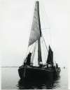 82. ID BF68_001_115_001 Sailing barge SPINAWAY C
Cat1 [Not Set] Cat2 Barges-->Pictures