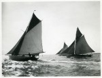 99. ID BF70_001_031_001 Smacks racing in the regatta 1904. The ELISE (Capt. Green) and the MARIA (J. Gunn) both from Wivenhoe, and Capt. William W Cranfield's SUNBEAM from Rowhedge, ...
Cat1 [Not Set] Cat2 Places-->Rowhedge Cat3 Places-->Rowhedge