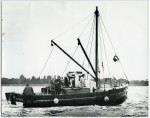 29. ID BF72_001_039_001 Fishing vessel LAURA BRUCE CK23, registered Colchester.
Built Rowhedge Ironworks, designed by John Leather.
John Leather wrote At the time she was ...
Cat1 [Not Set] Cat2 Fishing