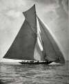  52 footer SONYA rustles through the Solent under her spinnaker in 1905 with Captain Fred Stokes of Tollesbury at the tiller. She was designed by the American yachtbuilding genius Nathaniel Herreshoff for Mrs Turner-Farley to race in a keenly sailed class.
 Picture used in The Salty Shore, page 110.
 See also Courier article COR_015.  BOXD_007_001_001