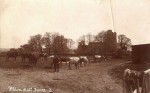 21. ID IA004921 Peldon Hall Farm. A postcard by Hammond.
Cat1 Places-->Peldon