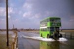  Eastern National Bristol double decker bus ONO80 crossing the Strood onto Mersea Island at high tide.
 The photograph is part of Ron's extensive collection on www.flickr.com
</p>
<p>Ron Green wrote in Mersea Life June 2014:
 The bus was part of a large batch delivered in the later part of 1949 to early 1950. It was a Bristol chassis with a Gardner K5G diesel engine. The body like most of the Eastern National buses of that period was by Eastern Coachworks, Lowestoft.
The original fleet number was 4059 changing to 1342 in the 1954 renumbering and to 2270 in 1964.
</p>  RFR_001