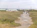 182. ID MLD_HWK_025 Mersea History Walk 23.
Pathway across the marsh from Coast Road to the beach wearing away many marsh plants.
Cat1 Mersea-->Beach