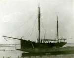 57. ID FL07_054_001 BLACK FOX, owned by Captain Barne, DSO, RN. He was a member of Scott's expedition to South Pole & lived in the Lane. 
Sidney Mussett's grandfather Tom Mole was ...
Cat1 Ships and Boats-->Merchant -->Sailing Cat2 Families-->Mussett Cat3 Families-->Mussett