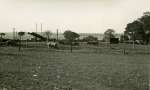 8. ID ALW_015 Wellhouse Farm in the Summer of 1944.
Cat1 Farming