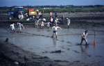 92. ID LH67_003 Mud football by the Strood.
Cat1 People-->Sport Cat2 Mersea-->Strood