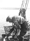 80. ID HEA_OPA_021 Edgar Heard on ROSENA CK65 - oyster dredging.
Cat1 People-->Fishermen and Seamen Cat2 Smacks and Bawleys Cat3 Smacks and Bawleys