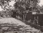 132. ID DHL_065 Garden of Westridge Cottage, Churchfields.
Cat1 Mersea-->Buildings