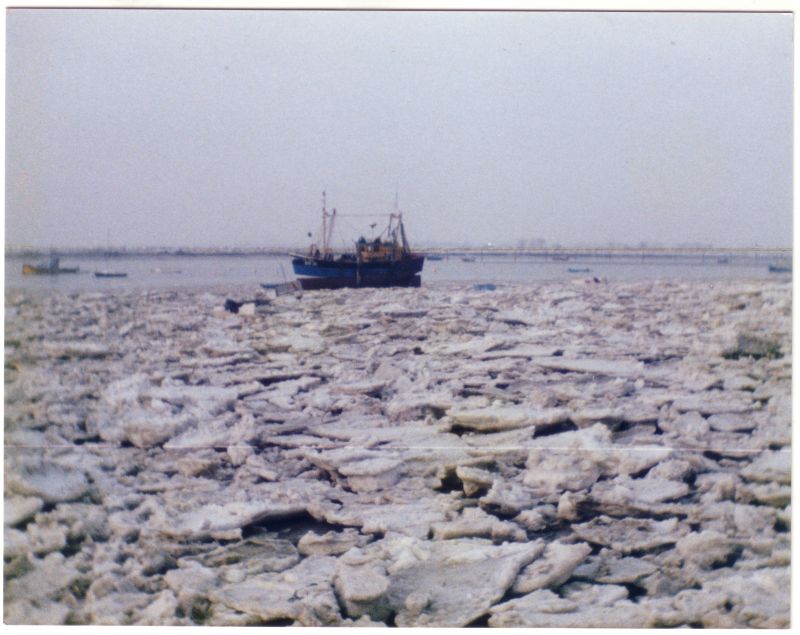  An icy winter. Thought to be late 1980s.

1984 was also a bad winter with a lot of ice in the creeks... 
Cat1 Weather Cat2 Mersea-->Creeks, fleets, channels, saltings
