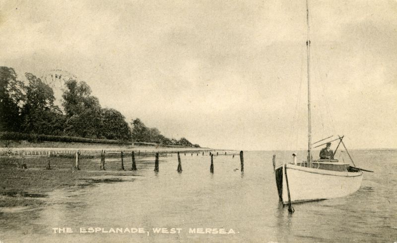  The beach, titled The Esplanade, West Mersea. Postcard by E T W Dennis, mailed 31 August 1921 
Cat1 Mersea-->Beach Cat2 Yachts and yachting-->Sail-->Small yachts / dinghies Cat3 [Display on front screen]
