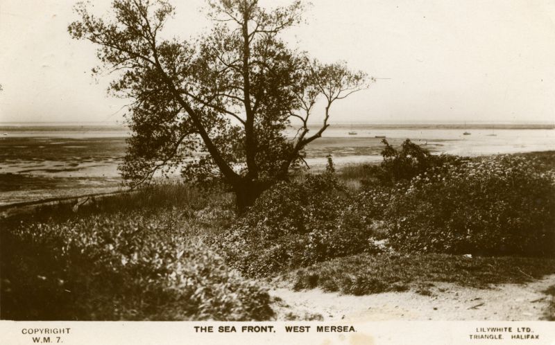 174. ID PG2_269 The Sea Front, West Mersea. Lilywhite postcard WM7, mailed 17 September 1931, addressed to Miss Muriel Smith, Norbury.
Cat1 Mersea-->Beach