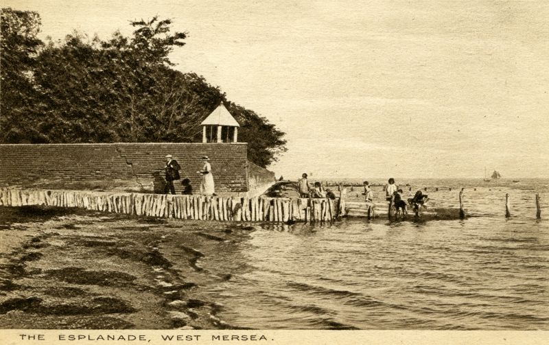  The Esplanade, West Mersea. Beach by the Monkey Steps. Postcard 14374 by Chas. F. Williamson. 
Cat1 Mersea-->Beach