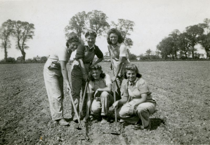  Land Girls. Back Lily, Joan Pullen (Mrs Ward) [but back of photo is crossed out and says Clair], Elsie. Front Edie and Doris. The field is now Windsor Road, Mersea. Colchester Road in background 
Cat1 War-->World War 2 Cat2 Farming Cat3 People-->Land Army