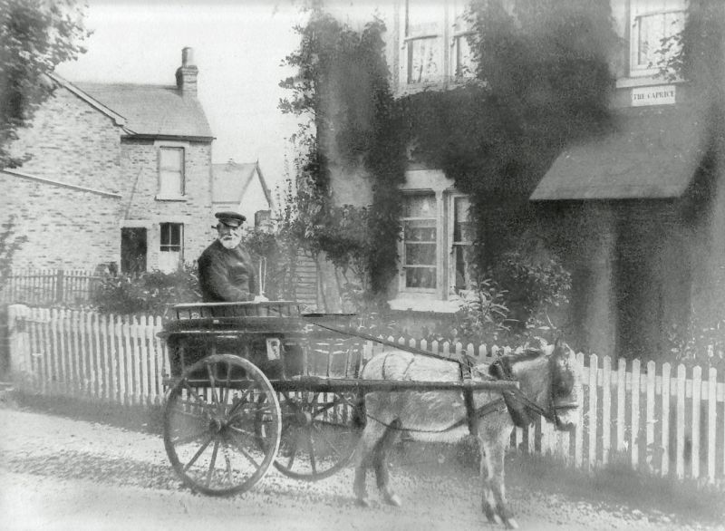  Photo taken in Mell Road about 1890.


Captain Billy Redgewell owned smack Kingfisher CK 7.


The house Caprice was later named Mount House and demolished years ago to make way for 2 new houses. 
Cat1 Tollesbury-->Road Scenes Cat2 Transport - buses and carriers Cat3 Tollesbury-->People