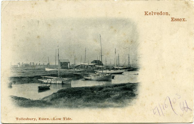  Tollesbury, Essex. Low tide. Postcard mailed 27 October 1903 
Cat1 Tollesbury-->Woodrolfe