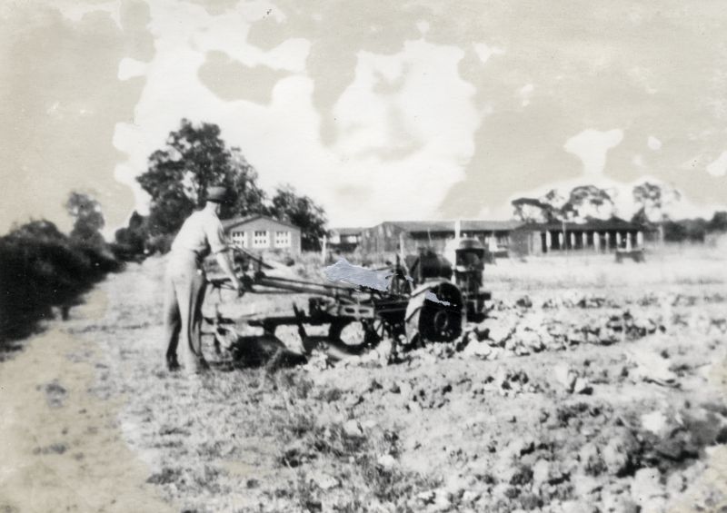 Click to Slide Show


 Ted Martin operating a 'Wiles' motor plough. This was made before 1918.

From Album 3. 
Cat1 Farming