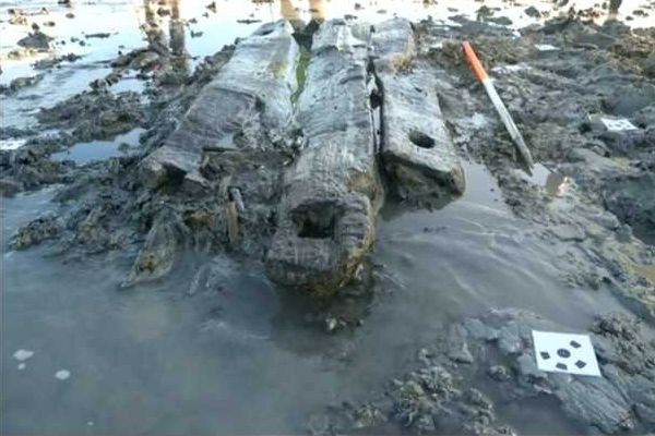 Click to Pause Slide Show


 A screenshot from Anglia News 15 Feb 2017 showing planks discovered by local oysterman Daniel French in the mud off Coopers Beach, East Mersea. 
Cat1 Mersea-->Creeks, fleets, channels, saltings