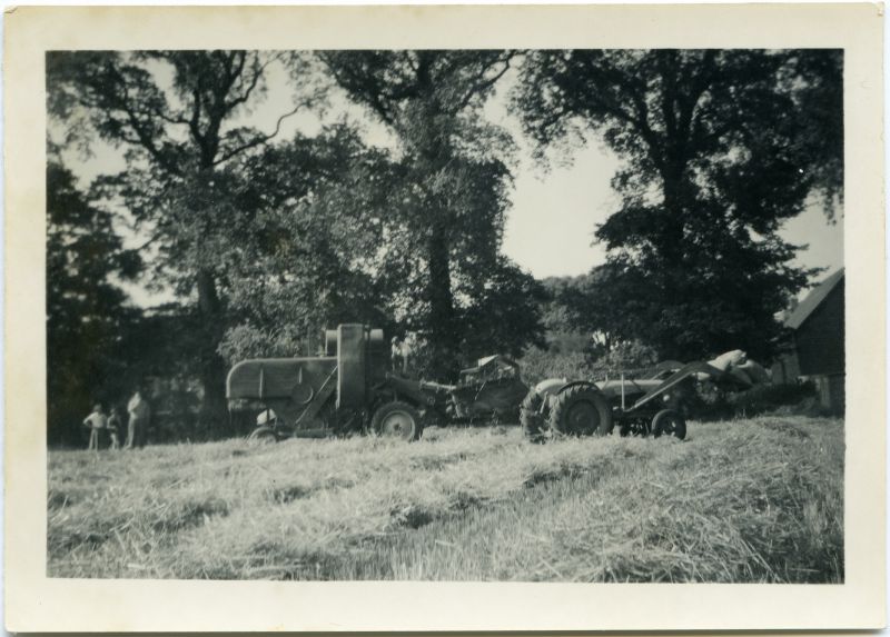  Harvesting at Brierley Hall Farm West Mersea in the late 1950s. On the left, probably Elsie, Anne and Archie Knight. Combined harvester and Ferguson tractor. 
Cat1 Farming