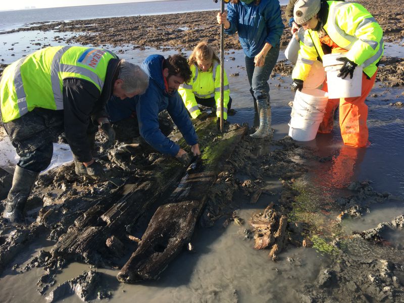  Board walk timbers found off Coopers Beach. Team gently lifting timber 2. 
Cat1 Mersea-->Beach