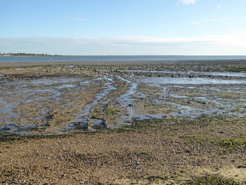  Pathway and stakes below the beach near East Mersea Blockhouse Fort. The stakes have been appearing over the past 2 years as the mud has eroded. It is not yet clear what they were for - they have been dated by CITiZAN between 1461 and 1636 AD which suggests they were in use the same time as the Blockhouse Fort.


Grid Location of photograph is TM0725915248. 
Cat1 Mersea-->Beach Cat2 Mersea-->East