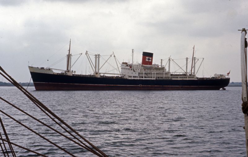 New Zealand Shipping Company's PIAKO awaiting employment in the River Blackwater.

Rick Hogben Collection from SSBR Archive. BT/28/1 Date: August 1972.