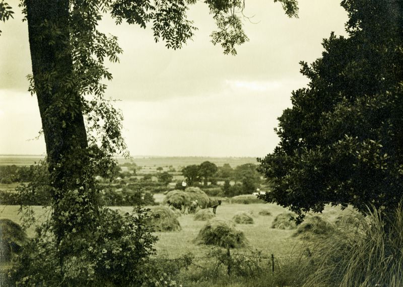  The ash tree at the bottom of Great Wigborough Rectory in 1944. Mersea in the distance.

Hay is being gathered in the field below, Haycocks are being loaded on the cart - horse drawn. Many farms could not afford or did not want to use tractors at this time.

 
Cat1 Places-->Wigborough Cat2 Farming Cat3 [Display on front screen]