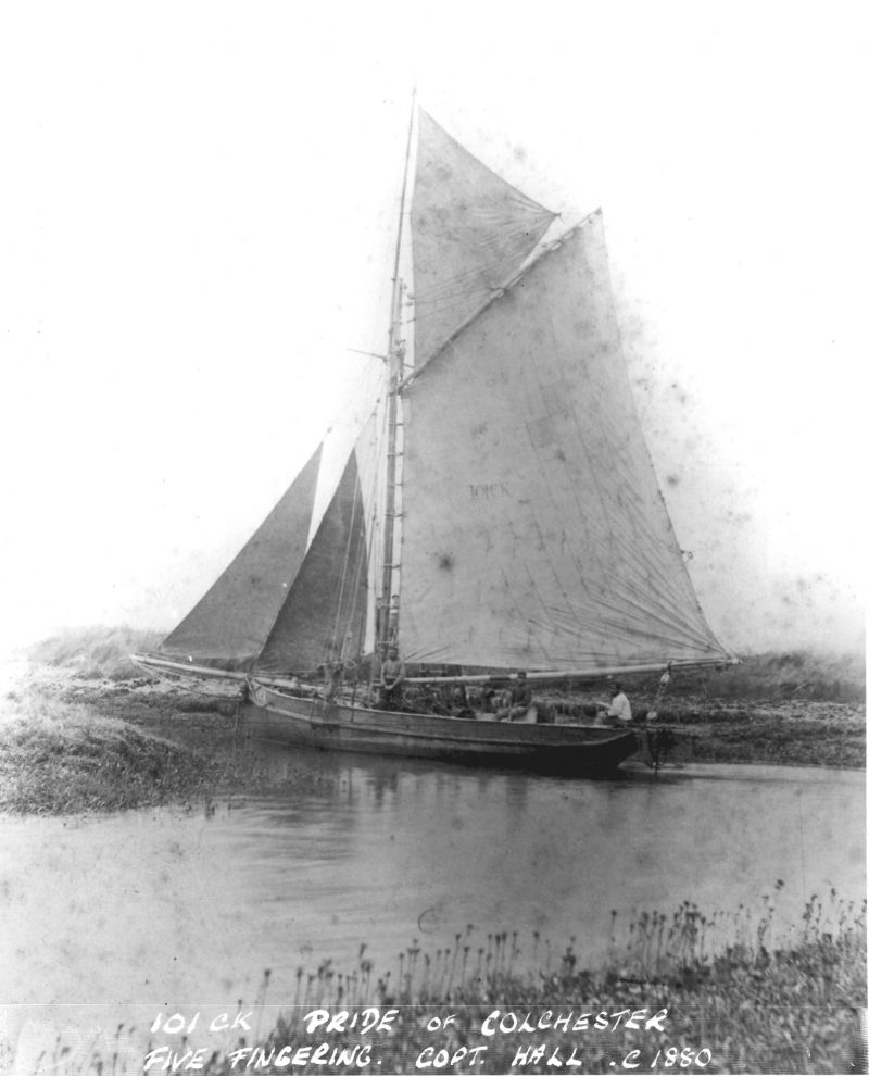 101CK PRIDE of Colchester five fingering Copt Hall Creek, Wigborough, c1880.

Discharging five fingers (star fish) at saltings near Copt Hall, Little Wigborough


CK101 is in List of Tollesbury Smacks as owned by Sam Lewis, but another copy of the photograph is named Garrod Smack.



Photograph used in Smacks and Bawleys Page 107 
Cat1 Smacks and Bawleys Cat2 Places-->Wigborough