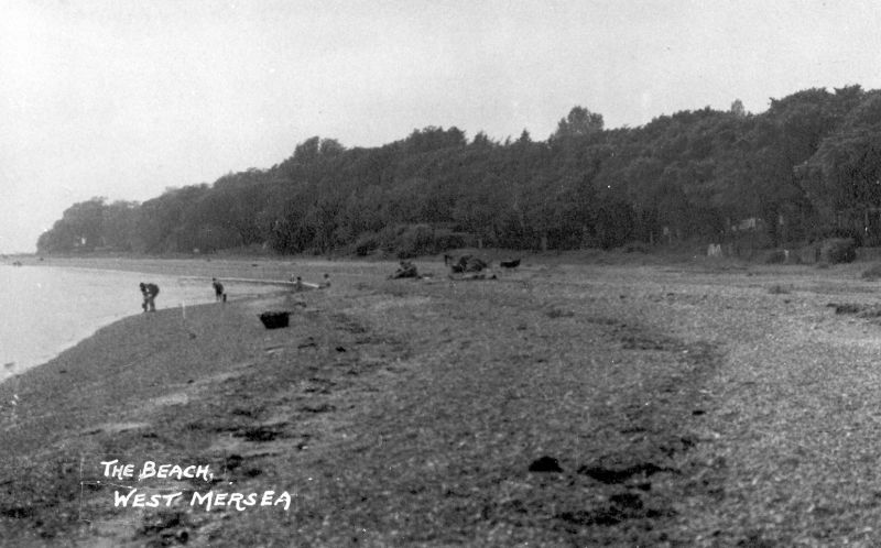  The Beach, West Mersea. Postcard. 
Cat1 Mersea-->Beach