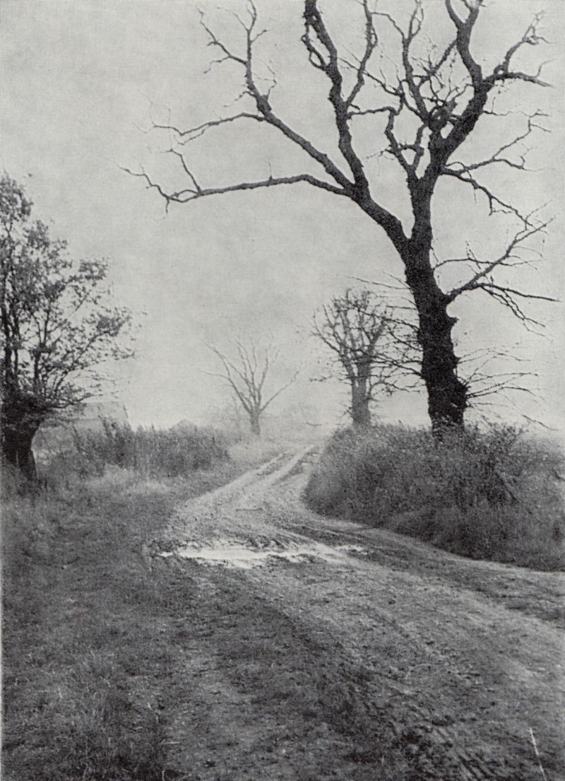  A cart-track over the marshes near Great Wigborough where the mists are slow to disperse.

From The story of Wigborough past and present by Eric Rayner - Essex Countryside March 1965 - page 285 
Cat1 Places-->Wigborough