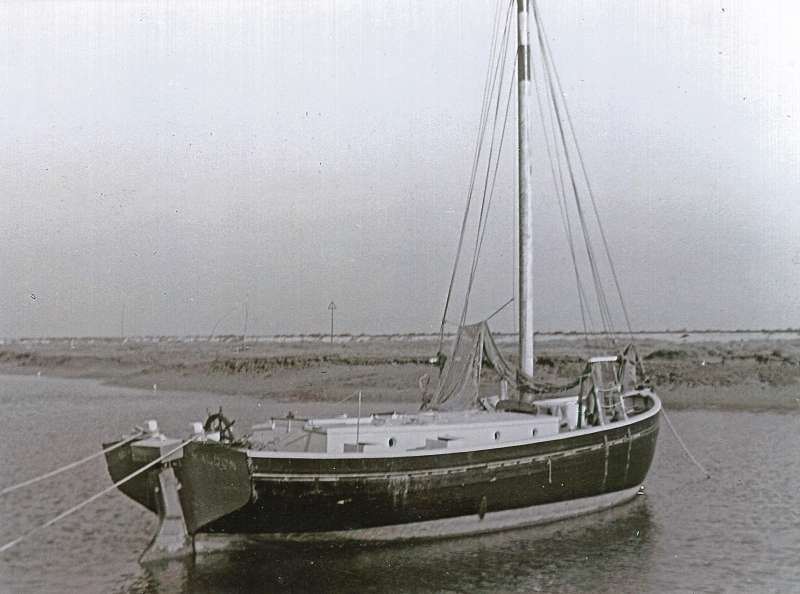  SUSAN at Tollesbury. Launched in 1948 and named after Susan Blott who was born June of that year. Designer and builder unknown. 
Cat1 Yachts and yachting-->Sail Cat2 Tollesbury