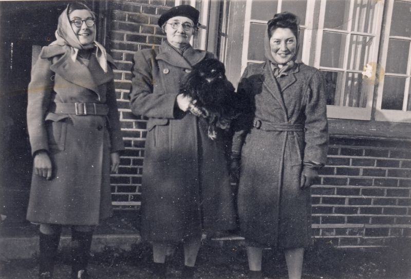 Click to Pause Slide Show


 Stella, Ethel 'Maud' and Beryl Phillips. From c1955 they lived at 'The Roseries' 54 Yorick Road. 
Cat1 Families-->Other