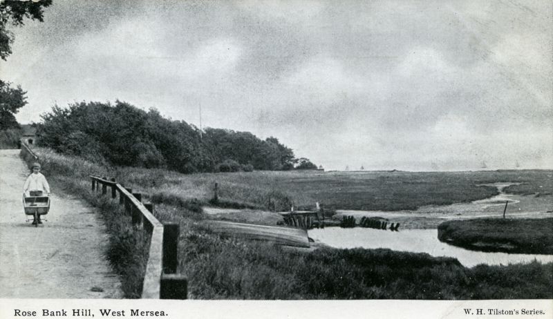  Rose Bank Hill, West Mersea. W.H. Tilstone's Series postcard. 
Cat1 Mersea-->Coast Road Cat2 Mersea-->Creeks, fleets, channels, saltings
