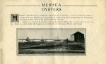  Brierley Hall Estate brochure Page 19. Mersea Oysters.  CW2_BHE_019