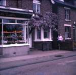 5. ID CW3_101 Wisteria by Repton Dixon's Stores in Church Road. 
Percy Bacon in white coat in the window behind the orange display. The lady sitting on the wall is ...
Cat1 Mersea-->Shops & Businesses
