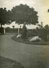 178. ID DC8_LEY_005 The front drive of Leysters in East Road. Martha Callow ?
From a photo album dated WhitsunTide 1922, found at 62 East Road.
Cat1 People-->Other