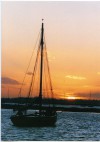 11799. ID BOXB3_138_001_001 Sunset from Mersea beach - BOADICEA - an Oyster smack built in 1808. Photo R.B.M. 1986. An Oyster Marine Christmas Card.
Cat1 [Not Set] Cat2 Smacks and Bawleys
