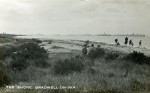24. ID IC09_171 A postcard of The Shore, Bradwell on Sea. In the 1930s many ships were laid up in the River Blackwater - among those visible are JASON, VOLTAIRE, PORT CURTIS ...
Cat1 Blackwater-->Laid up ships Cat2 Places-->Bradwell