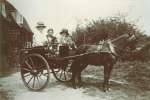  Mrs Josie Condon [ Mary Josephine ] driving a pony and trap outside Vine Cottage at the top of The Lane. Josie Condon rented Vine Cottage up to about 1926. The passenger in the centre is not known. On the right is Mrs Rhona Keenlyside, daughter of Josie. The pony's name was Judy.
 Used in 2015 Exhibition.  KNL_CAR_001