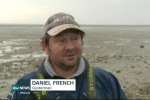 2. ID VV010612_003 Mersea oysterman Daniel French speaking on Anglia TV News, 15 February 2017. Daniel found timbers in the mud off Coopers Beach, East Mersea. They are believed ...
Cat1 Families-->French