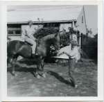 38. ID AWA_223 Wendy Westcott with Orion and Catchy, at Patricia Catchpole's Riding Stables.
Cat1 People-->Other