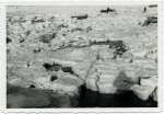 19. ID DB11_039_001 Winter 1947 - frozen creeks
Cat1 Weather Cat2 Mersea-->Creeks, fleets, channels, saltings